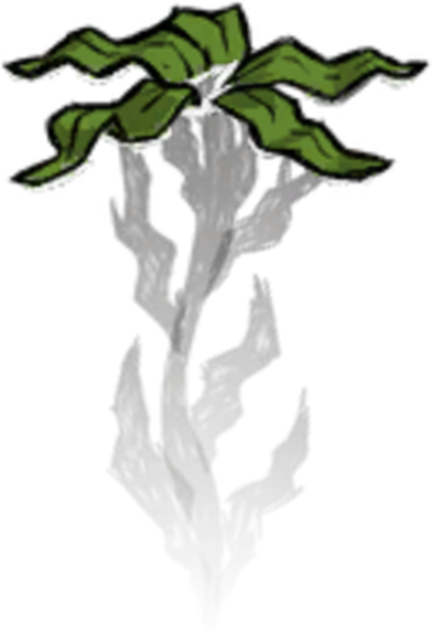 Seaweed Planted - Don T Starve Seaweed (392x578), Png Download