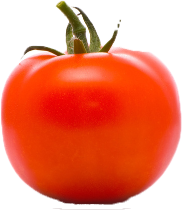 Tomato Png Free Image - Jitomate Bola (486x487), Png Download