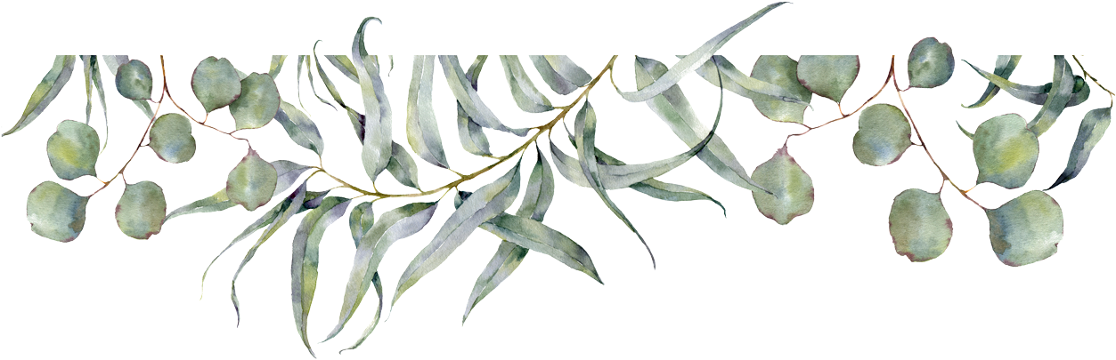 Er Du Ikke På Interesselisten Meld Deg På Under - Russian Olive (1400x487), Png Download