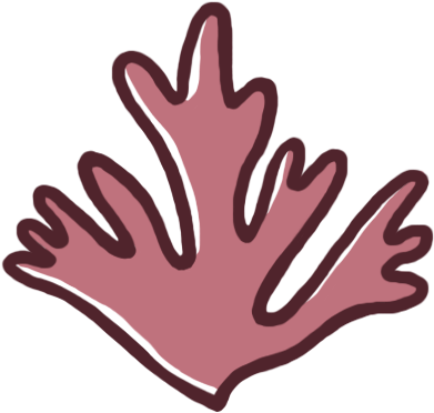 Dulse (416x406), Png Download