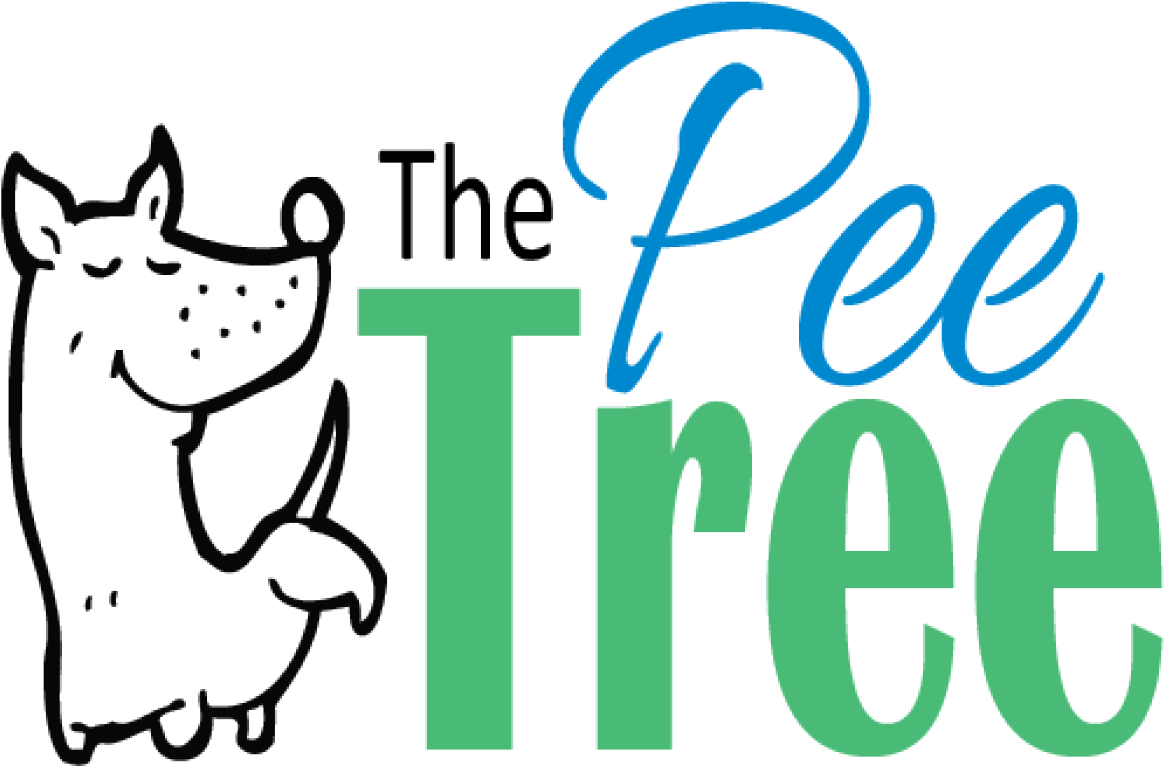 Image - Cartoon (1920x1080), Png Download