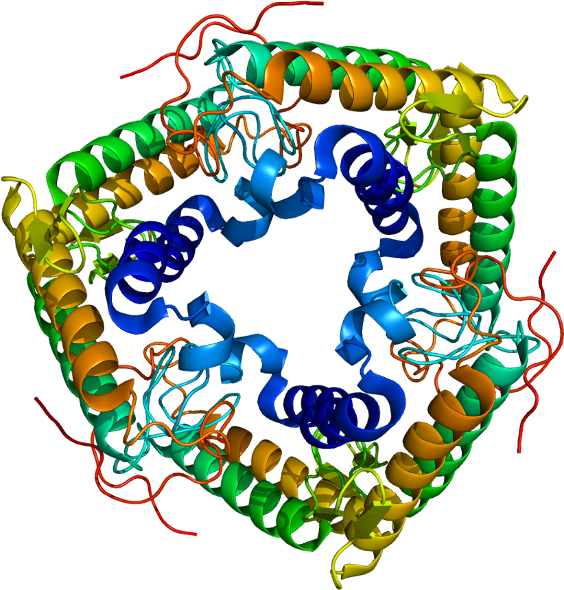 Clip Art (871x908), Png Download