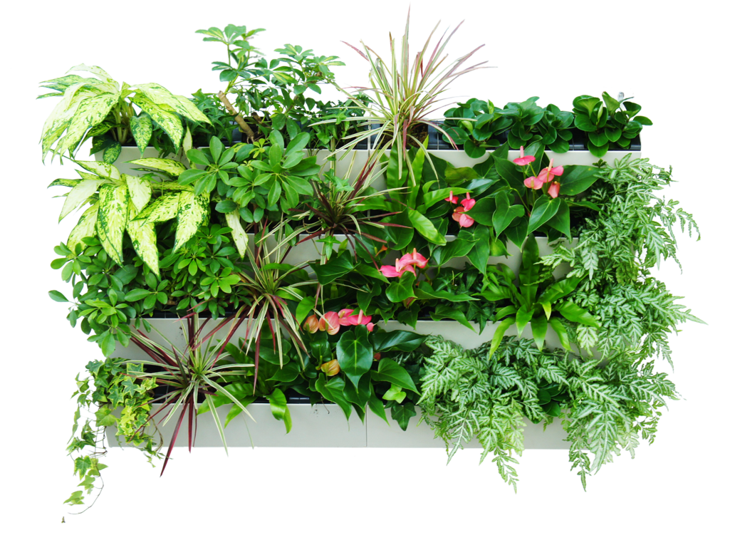 Download Hd Vertical Herb Garden Png Transparent Png Image Nicepng Com