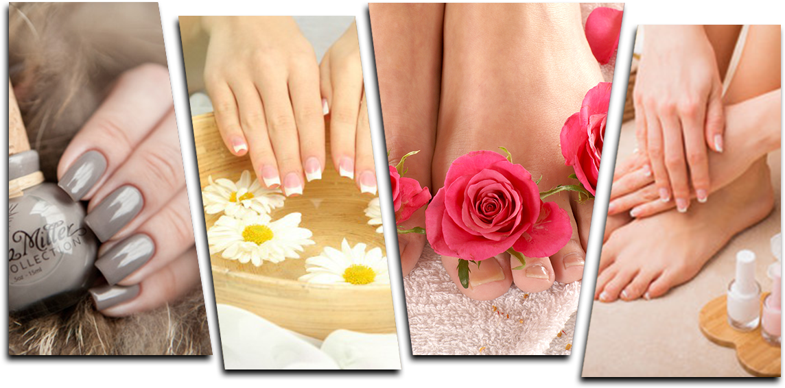 Garden Roses (1168x594), Png Download