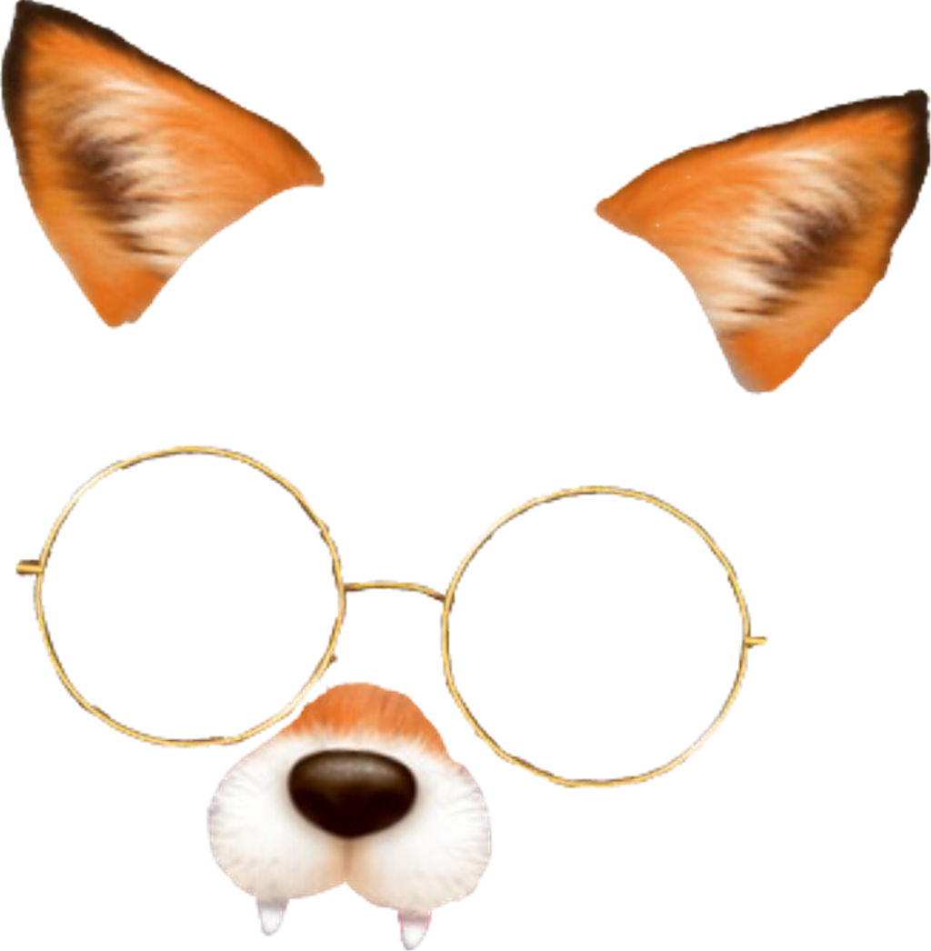 #fox #snow #snowfilter #snowfilters #snapchat #snapchatfilter - Companion Dog (1024x1046), Png Download