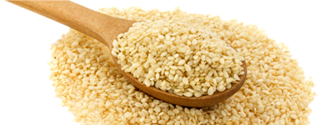 Alphabet Pasta (1600x420), Png Download