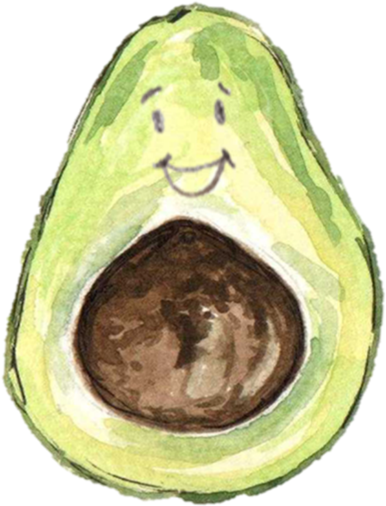 Avocado Png Transparent Images Free Download Clipart - Avocado Watercolor Png (677x825), Png Download