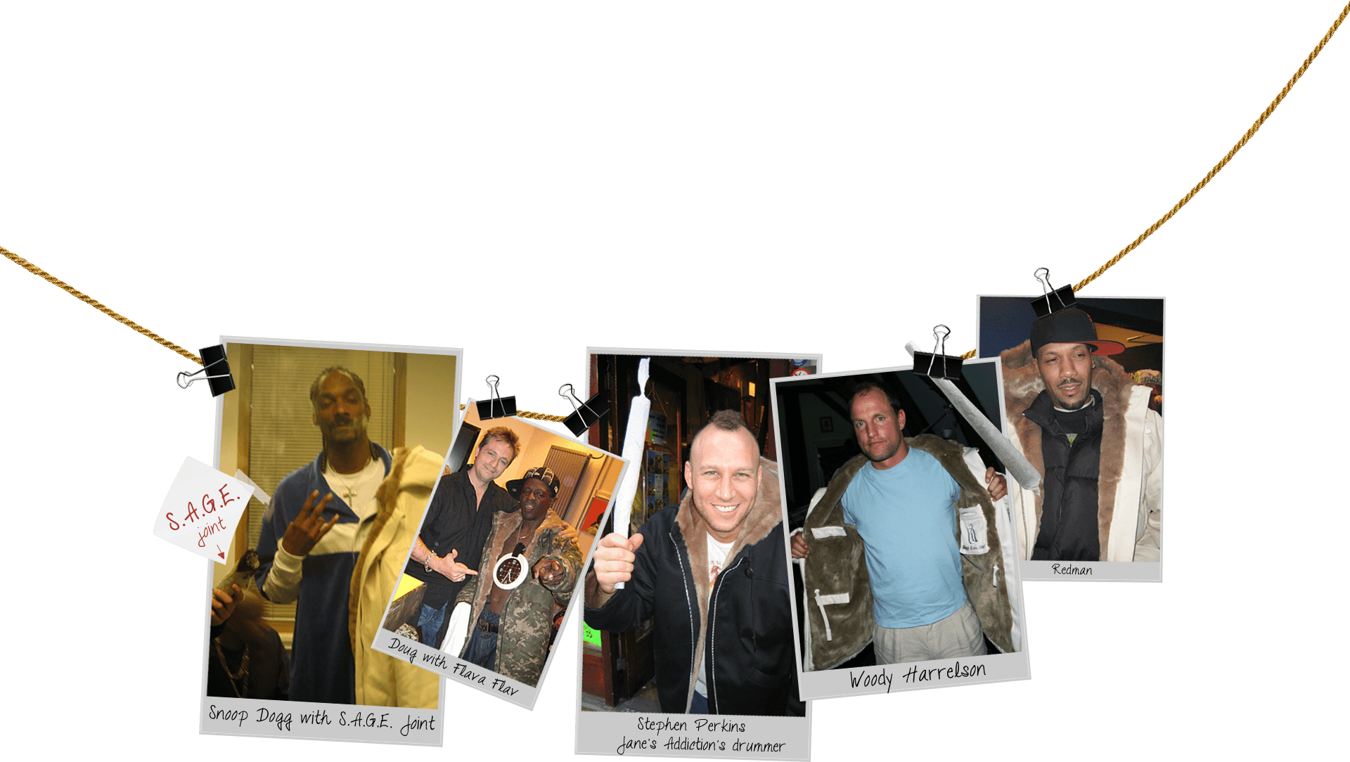 Seeds Snoop Dogg - Musical Ensemble (1920x1084), Png Download