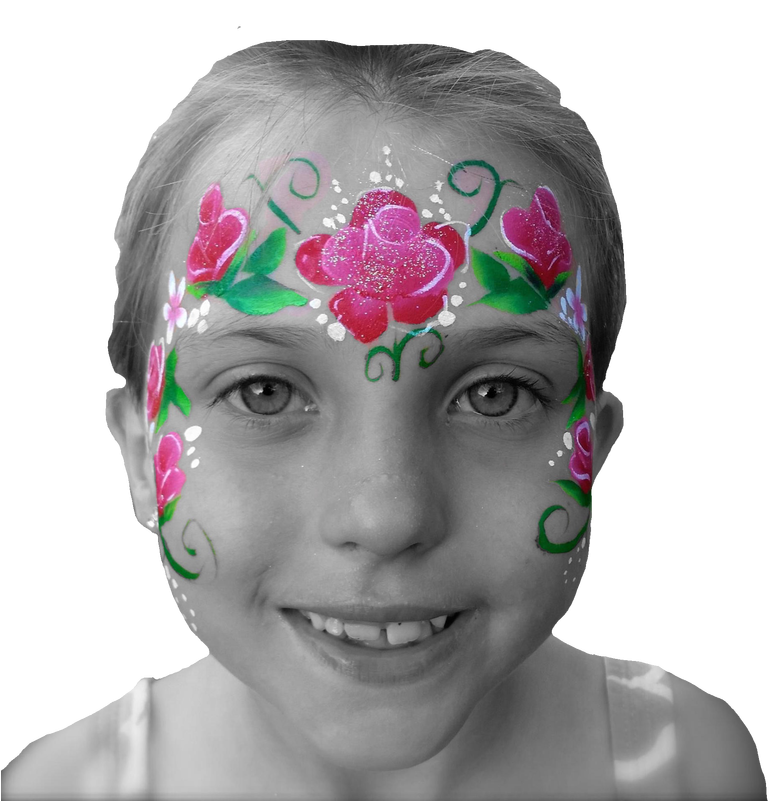 Morph Face And Body Art Tweed Heads Face Painting 4 - Child (800x800), Png Download