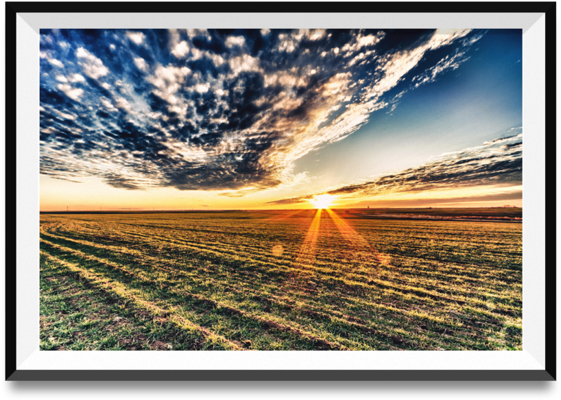 Oklahoma Beauty (1000x1000), Png Download