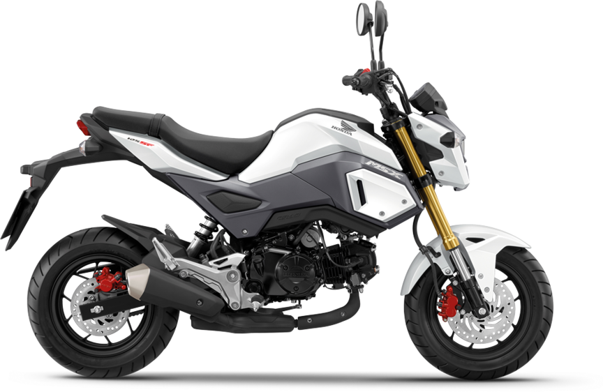 Honda Msx125 Freestanding On White Background - 2018 Honda Grom Price (864x562), Png Download