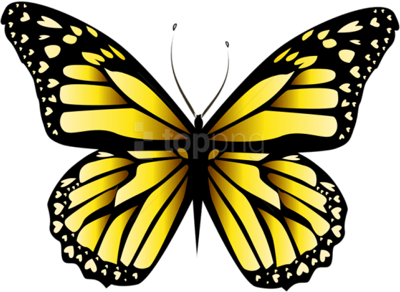 Free Png Download Yellow Butterfly Png Clipar Clipart - Yellow Butterflies (850x632), Png Download