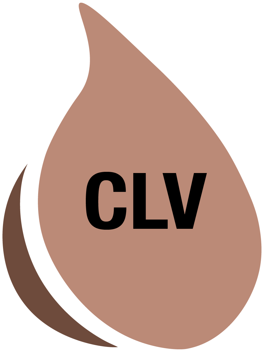 Clv Clove - Illustration (886x1180), Png Download