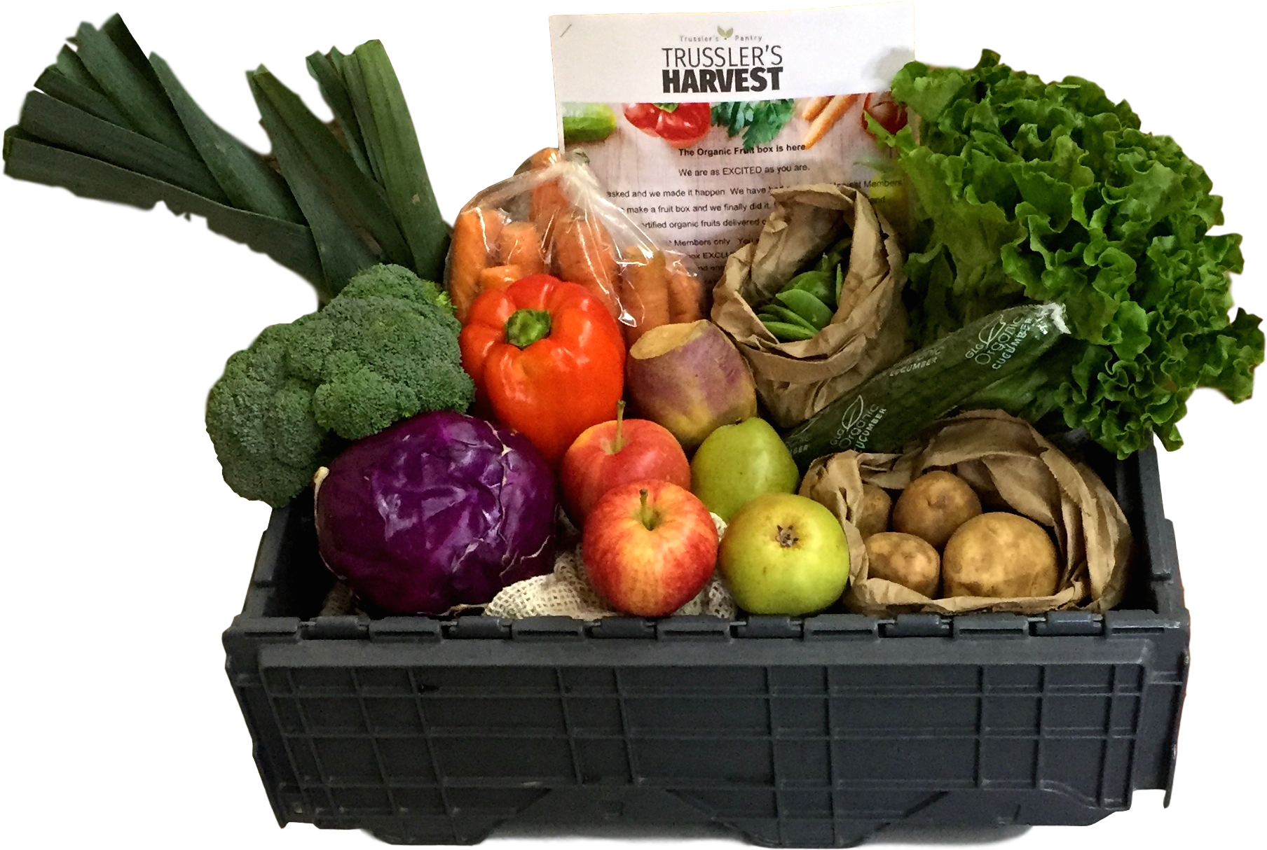 Single Person - Chard (2284x2102), Png Download