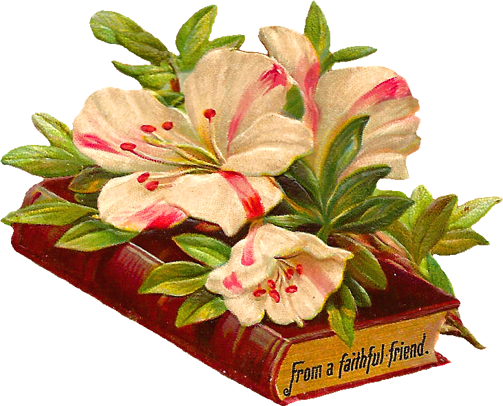 Wedding Png Clipart - Artificial Flower (841x694), Png Download