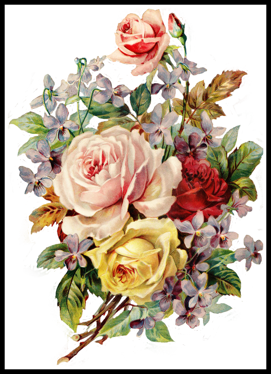 Incredible Fotki Yandex Ru Get Of Colored Pencils Single - Vintage Flowers Transparent Background (881x1214), Png Download