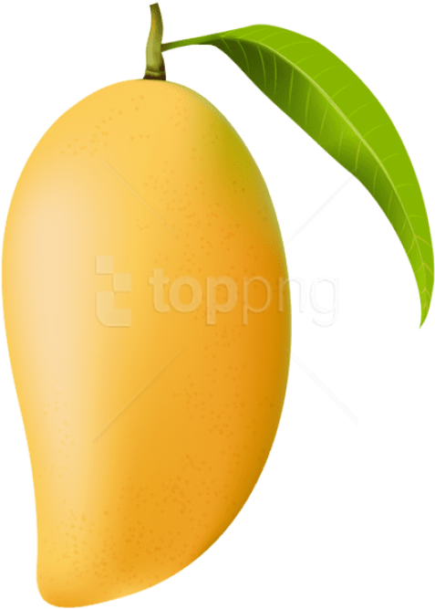 Free Png Mango Png - Transparent Background Mango Clipart (480x673), Png Download