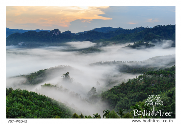 วอลเปเปอร์ ติด ผนัง ธรรมชาติ หมอก (600x800), Png Download