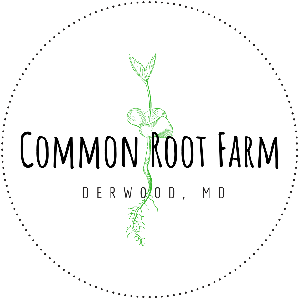 Logo Small Print Format=1500w (1000x1000), Png Download