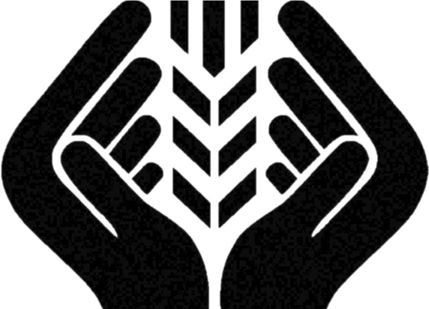 Owf No Bckgrnd - Emblem (1000x630), Png Download