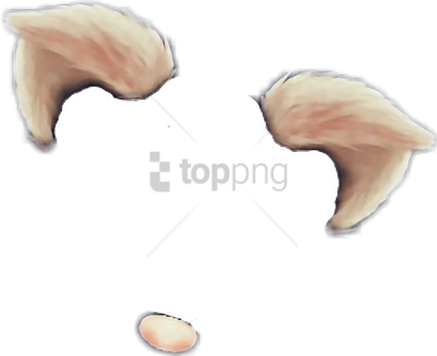 Free Png Snapchat Filter Cat Ears Png Image With Transparent - Snapchat Cat Filter Png (850x692), Png Download