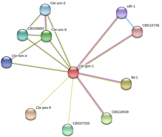 Diagram (975x517), Png Download