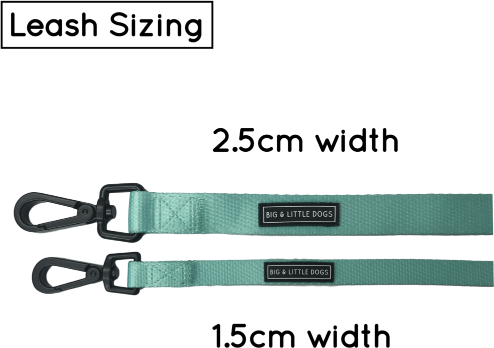 Dog Leash For Big And Small Dogs Classic Solid Teal - Leash (1024x1024), Png Download