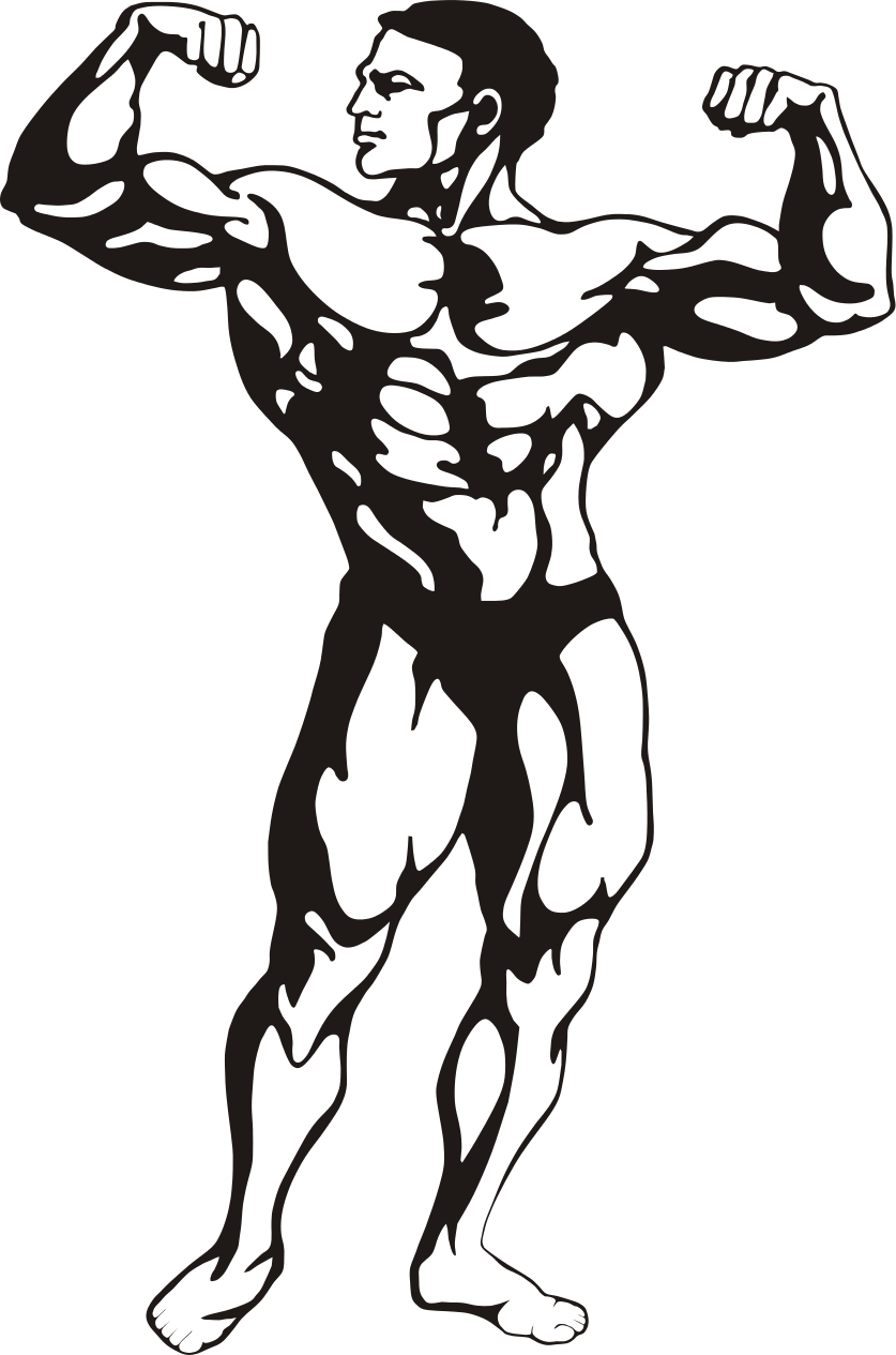 File - Btoteva Fitness - Svg - Body Builder Clip Art (837x1265), Png Download