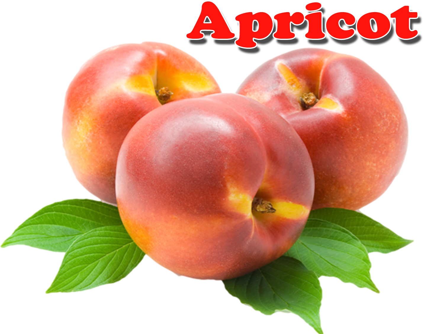 Apricot Png - Nectarines (1648x1200), Png Download