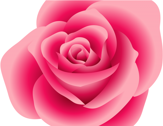 Pink Rose Clipart Vine - Pink Flower Rose Clipart (640x480), Png Download