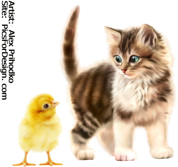 Kitty-chick - Kitten (640x606), Png Download