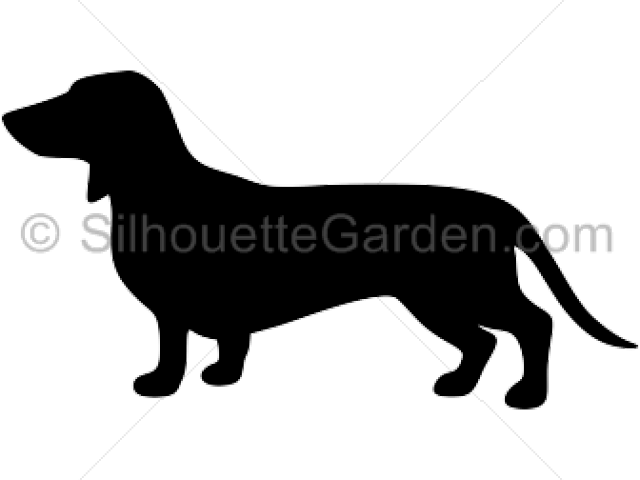 Dachshund Clipart Svg - Clip Art (640x480), Png Download