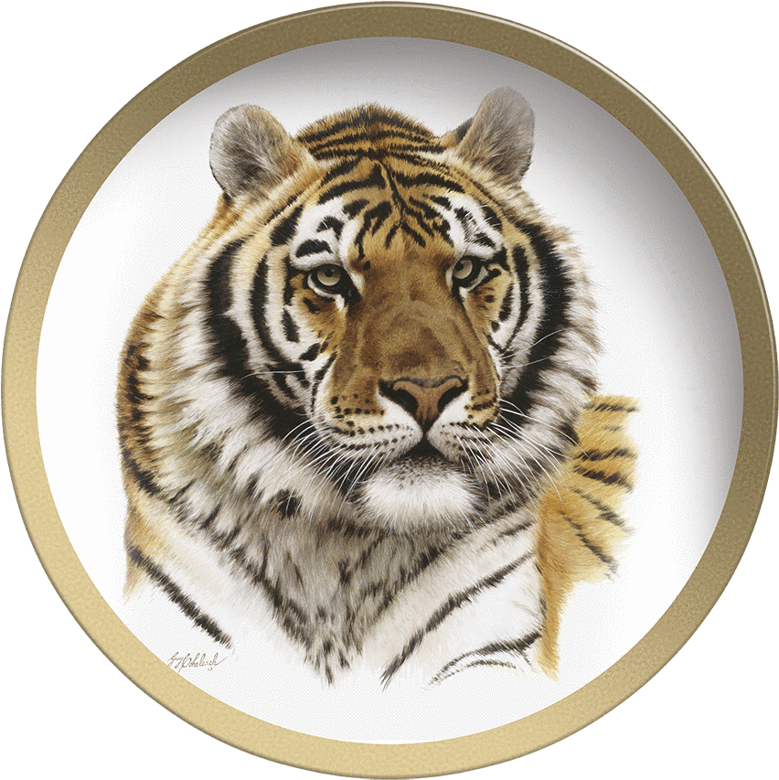 Tiger Head Png - Tiger (1000x1000), Png Download