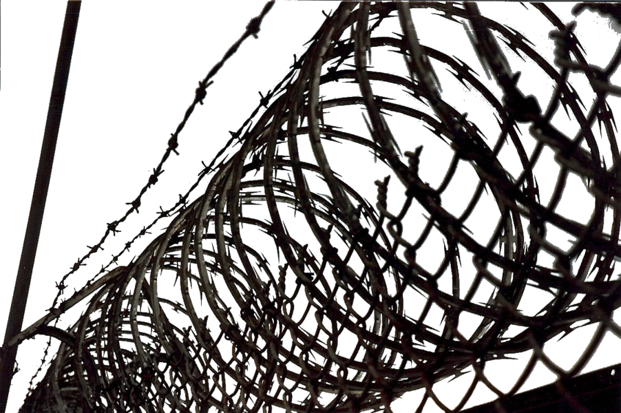 Barbed Wire - Barb Wire Psd (902x600), Png Download