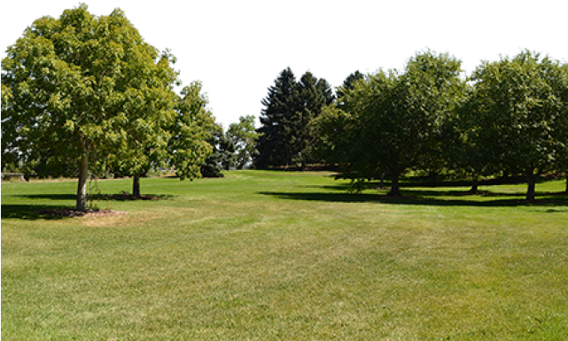 Grove (640x480), Png Download