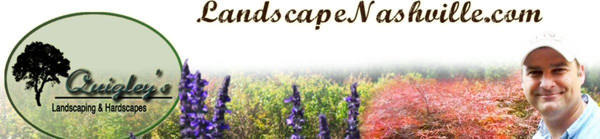 Japanese Maples Nashville - Lavender (1200x279), Png Download