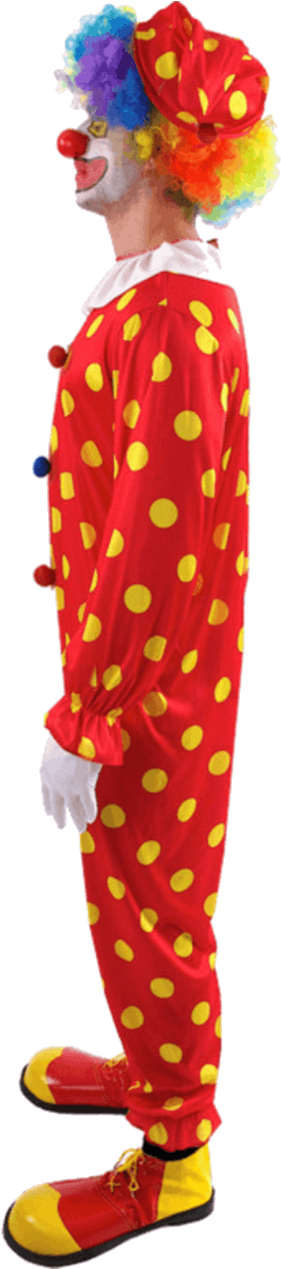 Bobbles The Clown Outfit - Clown (800x1268), Png Download