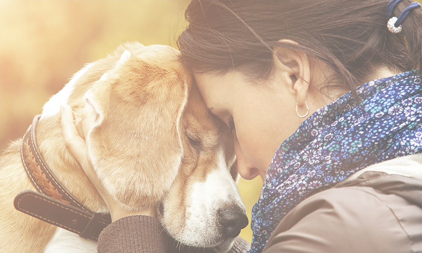 Dogs - Dog And Woman Relationship (840x504), Png Download