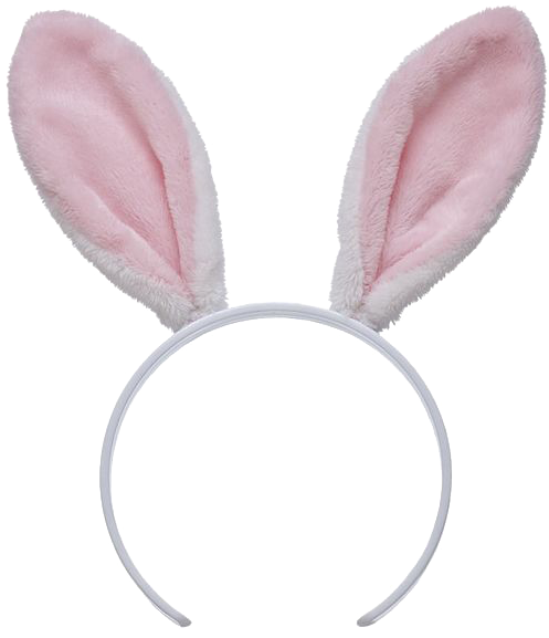 Bunny Ears Png Image Download - Bunny Ears Headband (600x600), Png Download