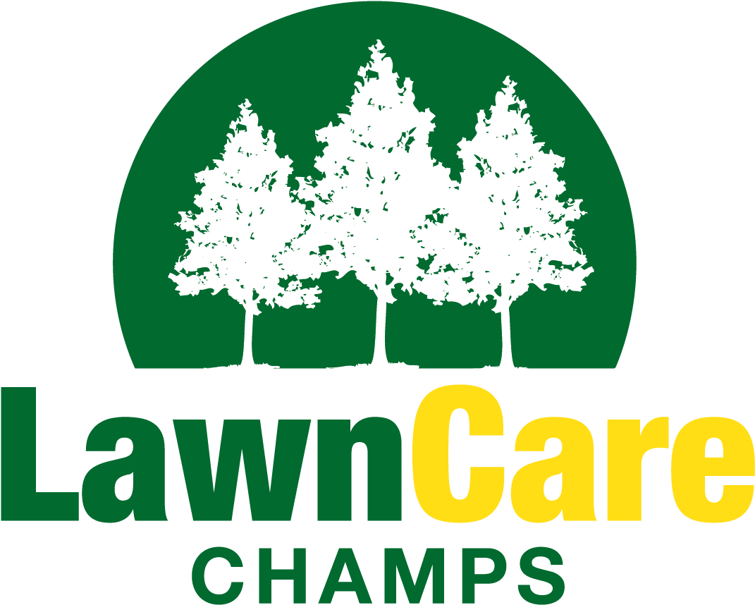 Menu - Illustration (1200x940), Png Download