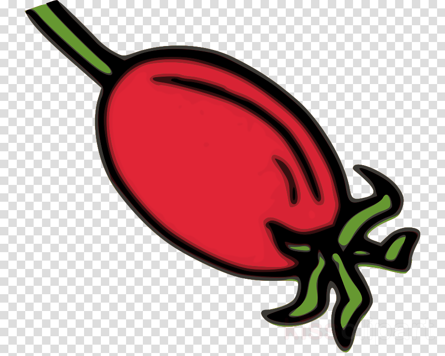 Download Rose Hips Clip Art Clipart Rose Hip Dog Rose - Logo Dream League Soccer 2019 (900x720), Png Download