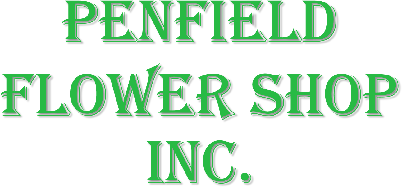 Penfield Flower Shop Inc - Kingdom Power Glory (1589x889), Png Download