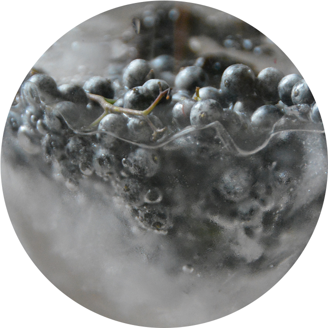 Garden To Glass Mobile Mixology - Sphere (758x1000), Png Download