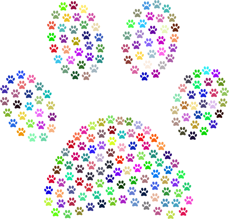 Paw Print Fractal Prismatic - Paw Print Fractal (770x736), Png Download