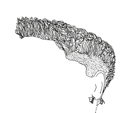 Sketch (1200x700), Png Download