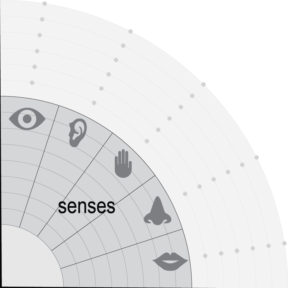 Sensory (1000x1000), Png Download