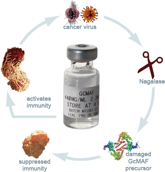 High Dose Gcmaf - Gcmaf Products (600x600), Png Download