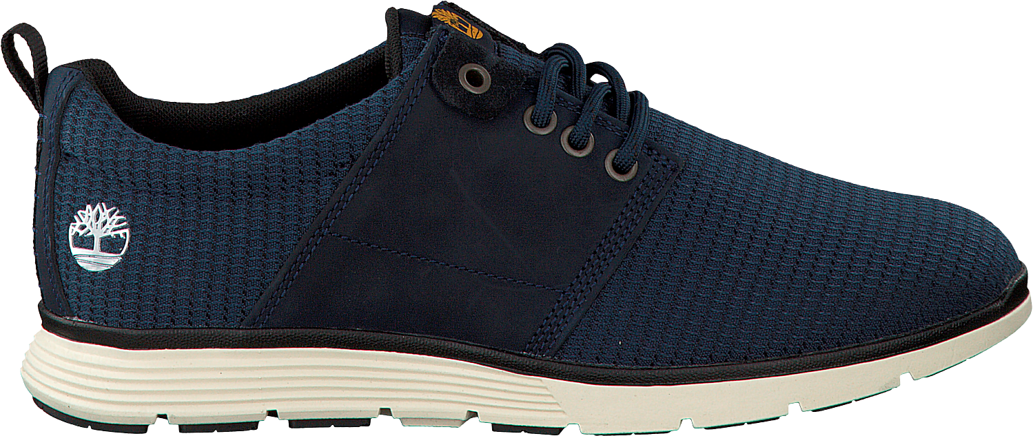 Blue Timberland Sneakers Killington Oxford Mens Blue - Timberland (1500x647), Png Download