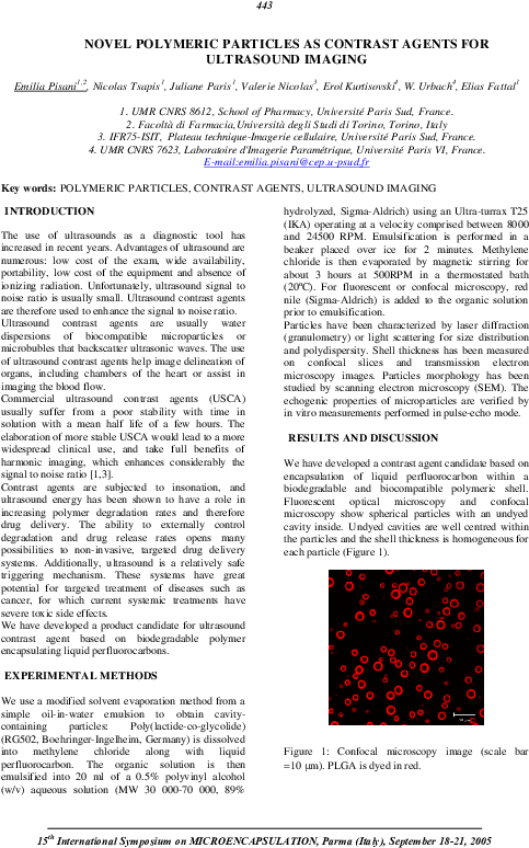 Pdf - Document (595x842), Png Download