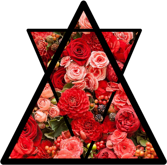 #flowers #pinkflowers #redflowers #roses #pinkroses - Pinkish Red Roses Background (1024x1024), Png Download